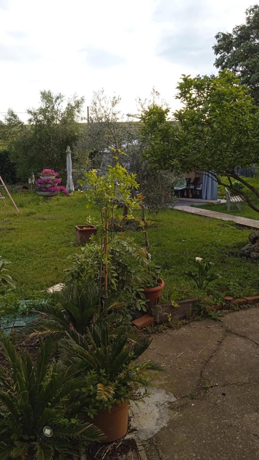 Casina Maria Διαμέρισμα Ρώμη Εξωτερικό φωτογραφία
